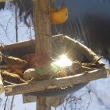 photo 2019-01-27 10-07-59