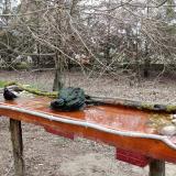 photo 2021-03-24 14-53-02