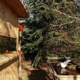 photo 2022-01-01 11-56-07