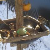 photo 2019-01-27 10-08-56