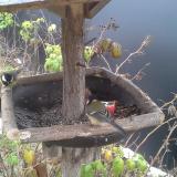 photo 2019-12-06 09-15-15