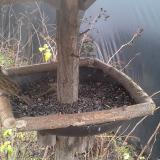 photo 2019-12-25 10-40-04