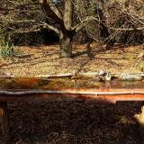 photo 2021-10-27 14-09-27