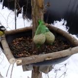 photo 2019-01-10 09-39-04