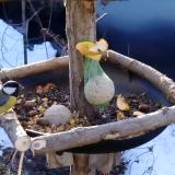 photo 2019-01-15 08-34-37