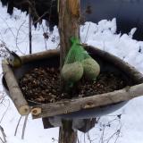 photo 2019-01-09 11-52-30