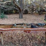 photo 2021-10-26 07-56-51