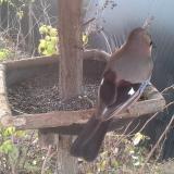 photo 2019-12-19 09-18-12