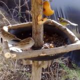 photo 2019-02-04 10-51-25