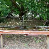 photo 2021-07-02 14-46-21