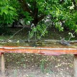 photo 2021-05-25 11-55-27