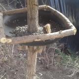 photo 2019-02-20 12-30-52