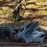 photo 2021-10-25 15-45-14 szajko