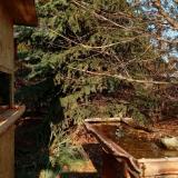 photo 2021-11-17 13-10-45