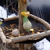 photo 2019-01-17 09-09-19