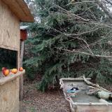 photo 2021-12-22 13-59-46