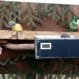 photo 2021-02-06 10-25-12