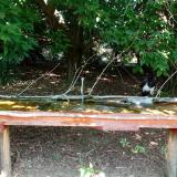 photo 2021-08-09 12-59-53