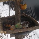 photo 2019-01-27 11-44-08