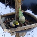 photo 2019-01-11 13-13-08