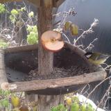 photo 2019-12-04 11-45-03