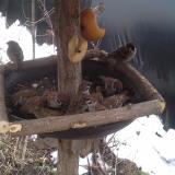 photo 2019-02-01 10-09-03