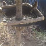 photo 2019-02-20 10-15-46