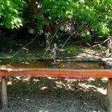 photo 2021-05-08 11-15-57