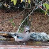 photo 2021-10-19 16-53-11 szajko