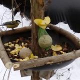 photo 2019-01-12 12-19-30