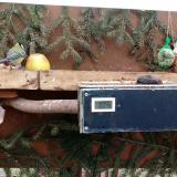 photo 2021-02-03 13-14-55