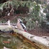 photo 2023-10-12 17-40-42