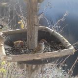 photo 2019-12-31 10-47-19