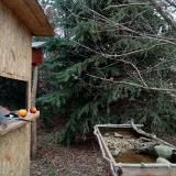 photo 2021-12-19 11-43-29