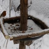 photo 2019-01-08 13-56-10