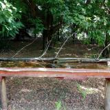 photo 2021-07-04 11-18-04