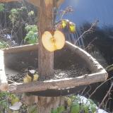 photo 2019-12-03 10-04-10