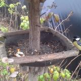 photo 2019-12-09 12-42-49