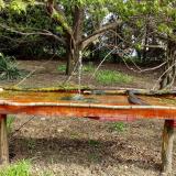 photo 2021-04-20 09-27-31