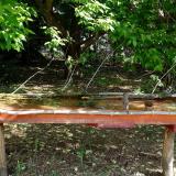 photo 2021-05-15 09-17-54