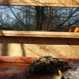 photo 2022-01-23 11-10-24