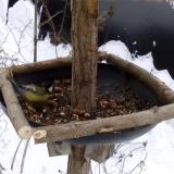 photo 2019-01-08 10-24-59