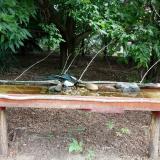 photo 2021-07-26 09-56-56