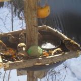 photo 2019-01-27 09-55-11