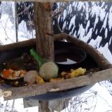 photo 2019-01-22 08-07-05