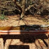 photo 2021-10-28 12-13-38