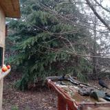 photo 2021-12-16 09-15-50