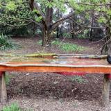 photo 2021-04-13 16-50-43