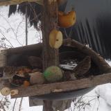 photo 2019-01-27 11-48-58