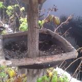 photo 2019-12-02 08-52-08